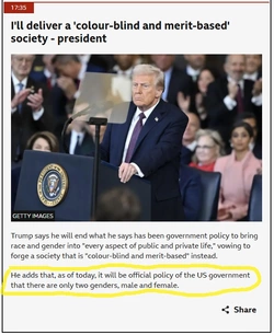 dt.jpg