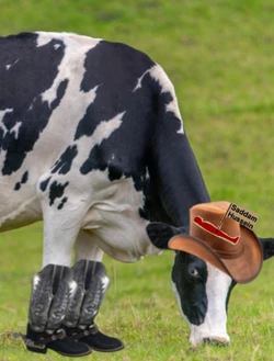 mòonspiracy.jpg