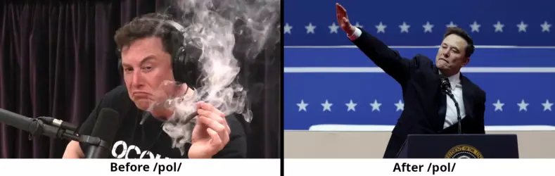 elon_musk_pol.png