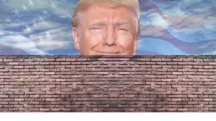 1737419162610.png