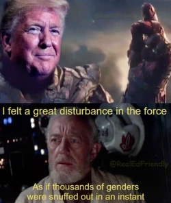 1737425011064.jpeg