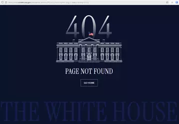 404 MLK not found.png