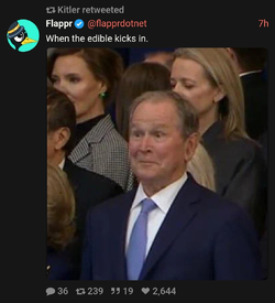 Bruh.jpg