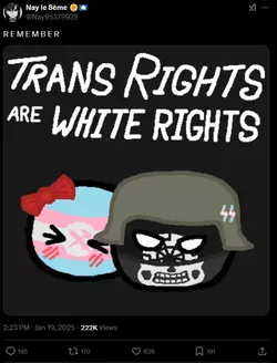 whiterights.png