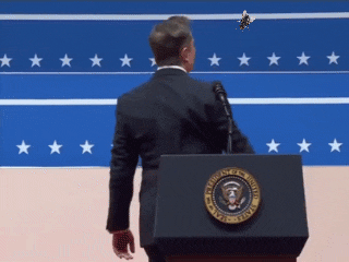elon fly.gif