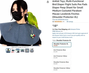 bird1.jpg