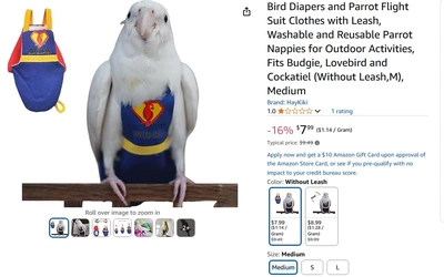 bird3.jpg