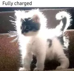 1737461241456.png