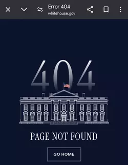 1737463865003.png
