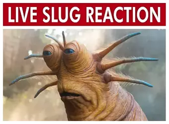1737484761716.png