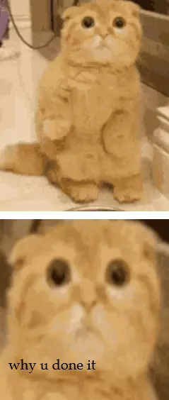 whydoneit.png