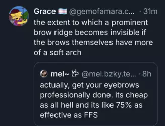 Bro Brows.png