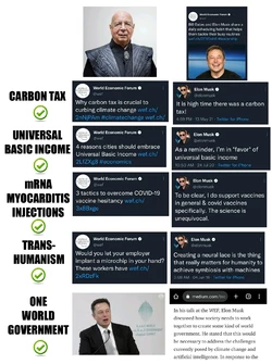 elon wef 1.jpg