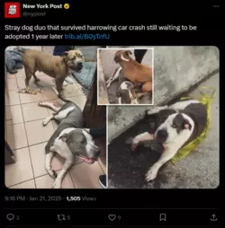 Screenshot 2025-01-21 211922.png