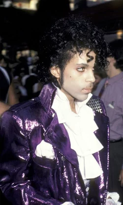 prince-style-5-1461264082.jpg