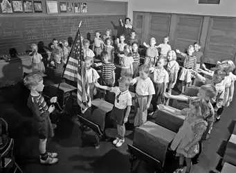 bellamy-salute-234012319.jpg