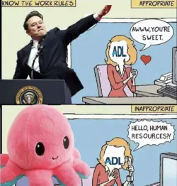 1737553029465.png