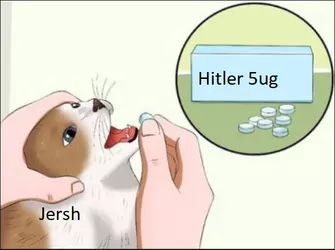 Hitler.png