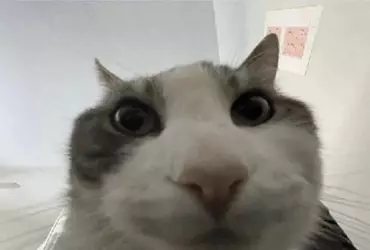 1737591999795.png