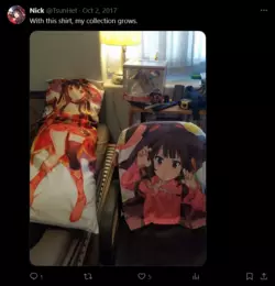Screenshot 2025-01-22 at 22-12-43 Nick (@TsunHet) _ X.png