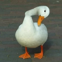 OenMKyUH.jpg
