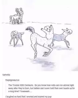centaurs.jpg
