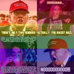 1737635512895.jpeg