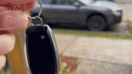 ring.gif ring.gif