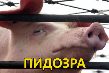 Пидозра.jpg