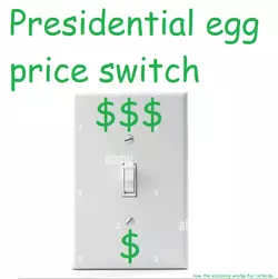 7685756.png