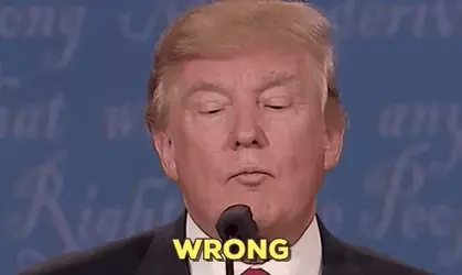1737706620505.webp