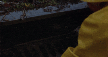 1737725892915.gif