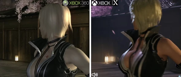ninjagaiden2remake.jpg