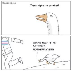 1737760241295.png