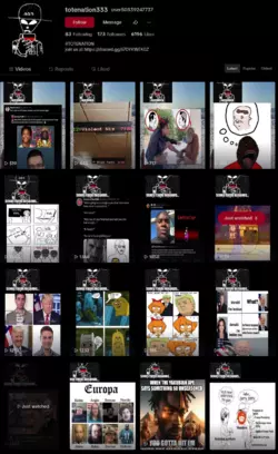 Screenshot 2025-01-24 at 18-47-51 user50839247737 (@totenation333) TikTok.png