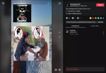 Screenshot 2025-01-24 at 19-03-21 user50839247737 (@totenation333) TikTok.png