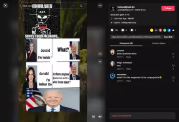 Screenshot 2025-01-24 at 19-01-51 user50839247737 (@totenation333) TikTok.png