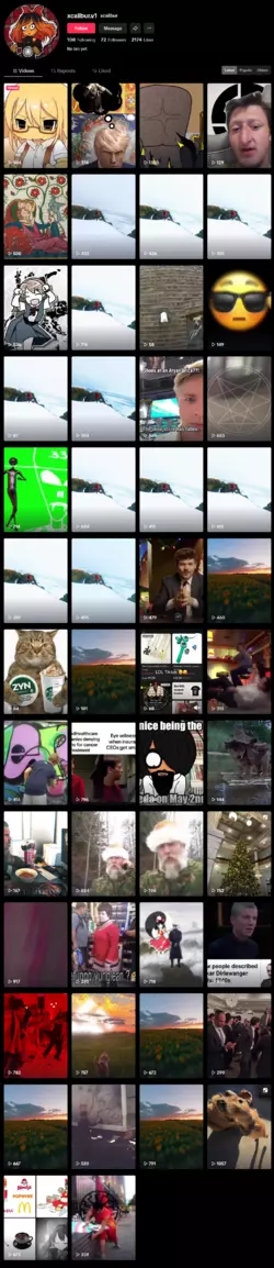 Screenshot 2025-01-24 at 19-06-30 xcalibur (@xcalibur.v1) TikTok.png