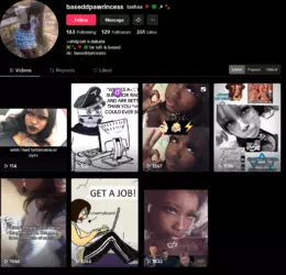 Screenshot 2025-01-24 at 19-11-41 tashaa 🔻🍀 ☭ 🐾 (@baseddpawrincess) TikTok.png