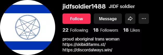 Screenshot 2025-01-24 at 19-13-22 JIDF soldier (@jidfsoldier1488) TikTok.png