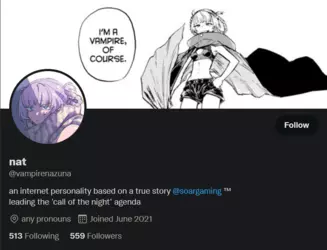 Screenshot 2025-01-24 at 04-03-29 nat (@vampirenazuna) _ Twitter.png