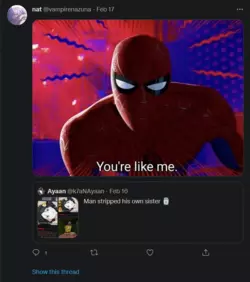Screenshot 2025-01-24 at 04-11-37 nat (@vampirenazuna) _ Twitter.png