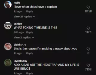 captain of the ship.PNG
