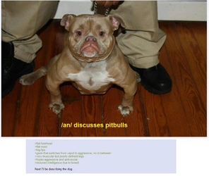 e105e08a46f0694f.jpg