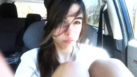 image_1.png