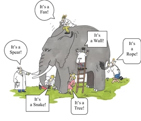Blind Men and the Elephant.jpg