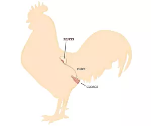 1737893653532.png