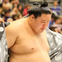 sumo.png