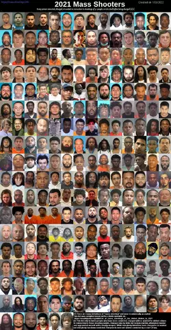 mass shooters 2021.jpeg