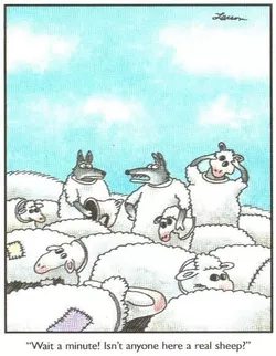 121.jpg